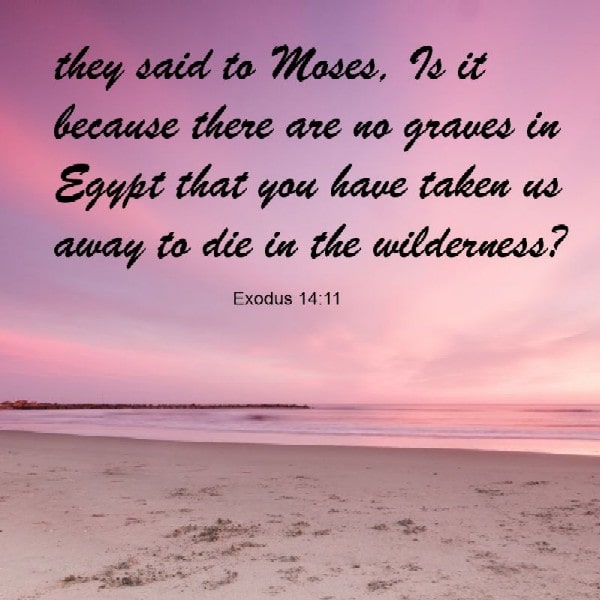 Exodus 14:11