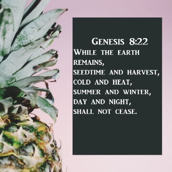 Genesis 8:22