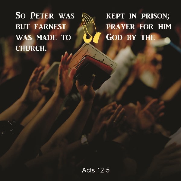 Acts 12:5