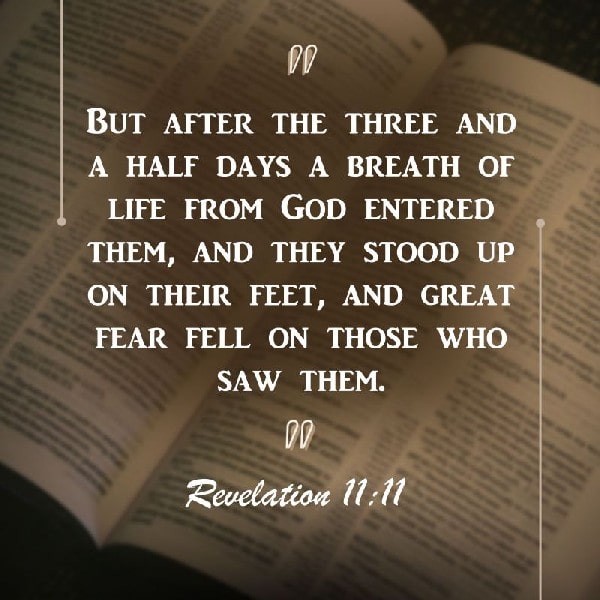 Revelation 11:11