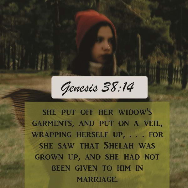 Genesis 38:14-19