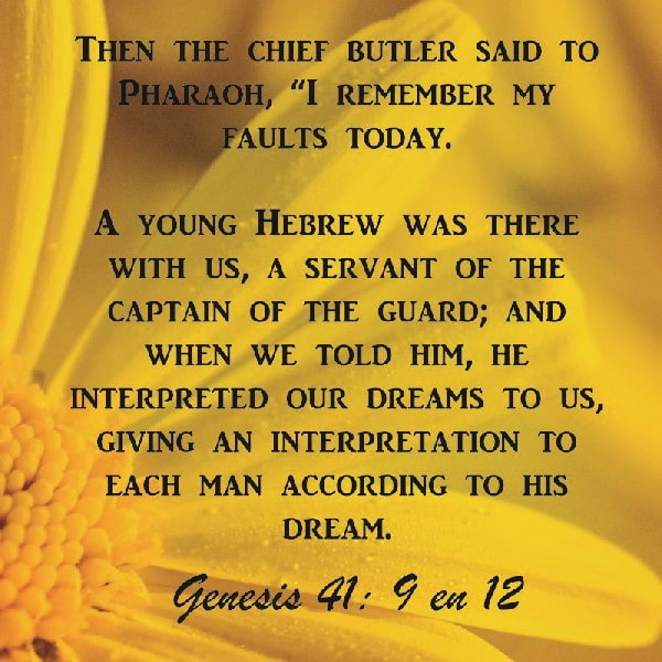 Genesis 41:9-12