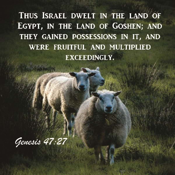 Genesis 47:27-30