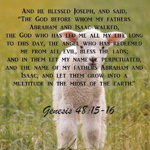 Genesis 48:15-16