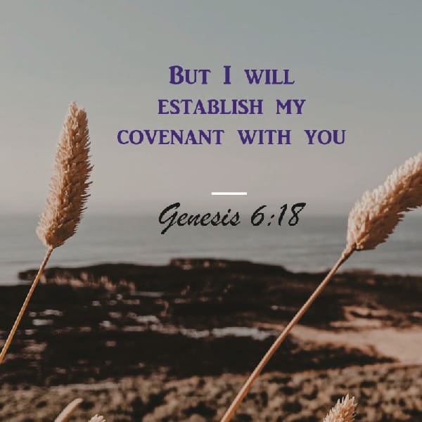 Genesis 6:17-18
