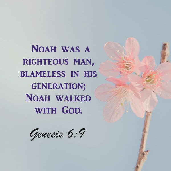 Genesis 6:9