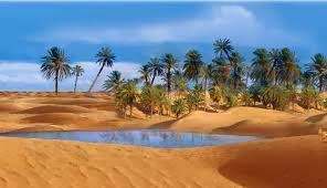 TripAdvisor.com.br Fonte in the desert